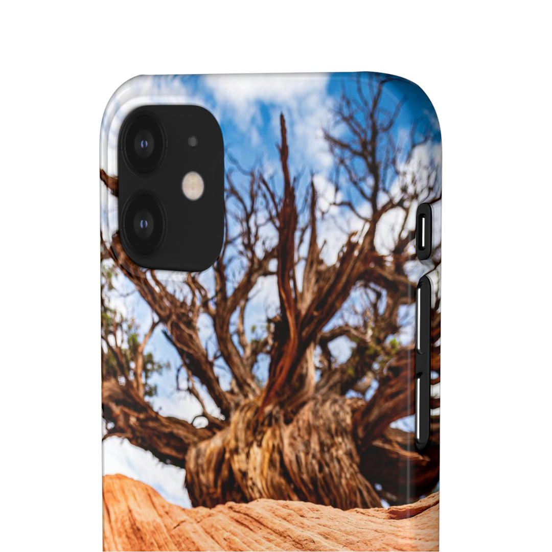 Desert Reach - Phone Case