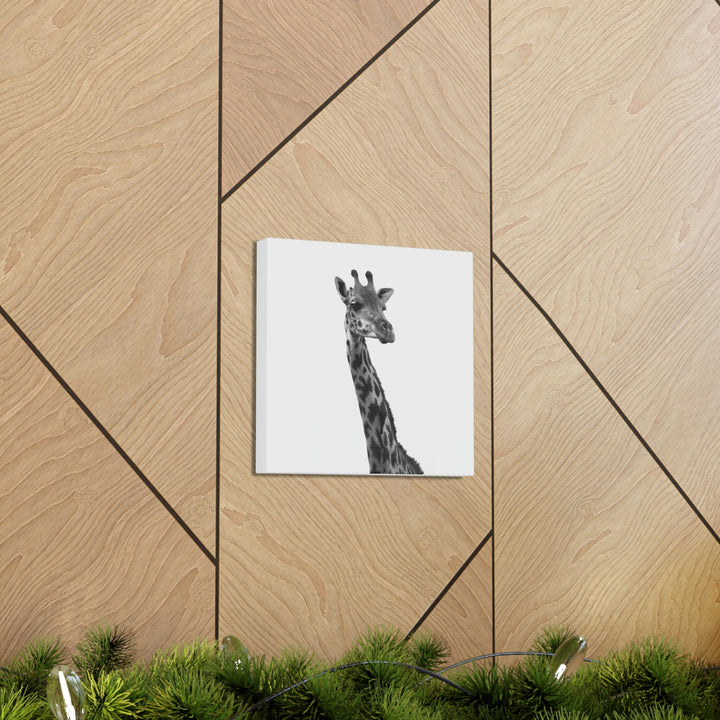 Giraffe Portrait in Black and White  - Canvas