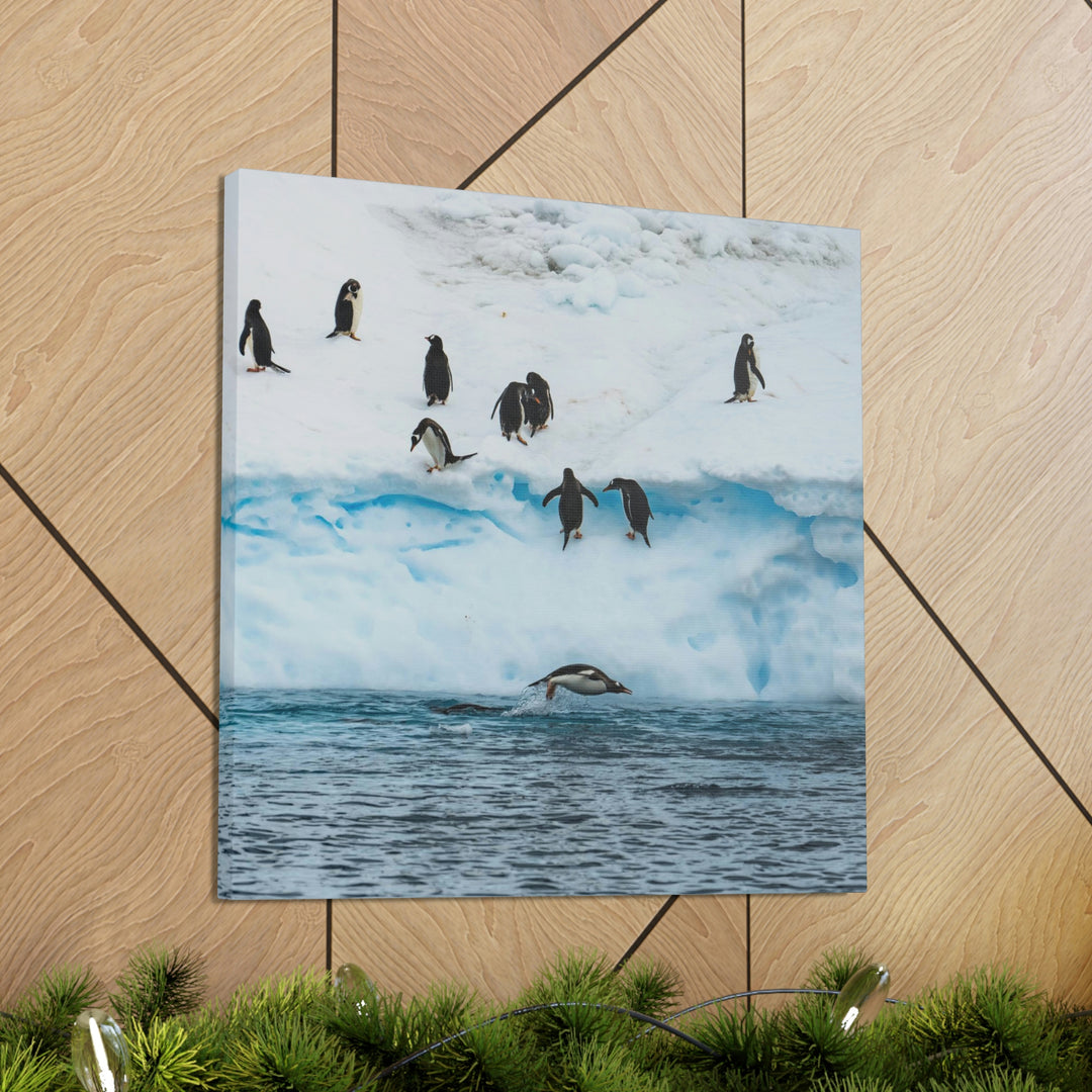 Porpoising Penguin - Canvas