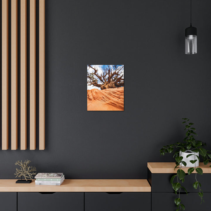 Desert Reach - Canvas