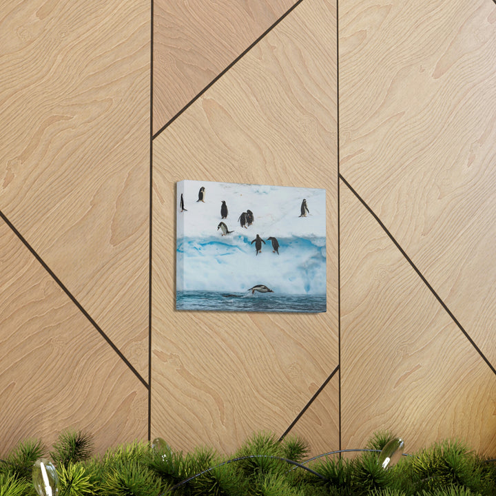 Porpoising Penguin - Canvas