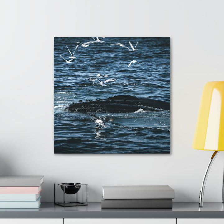 Humpback Hello - Canvas