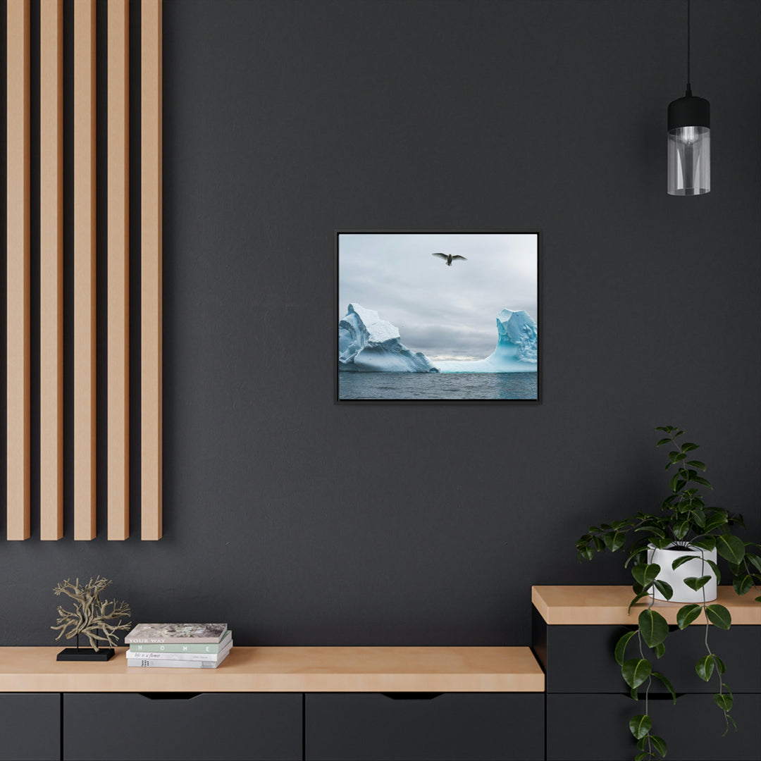 Antarctic Flight - Canvas with Frame