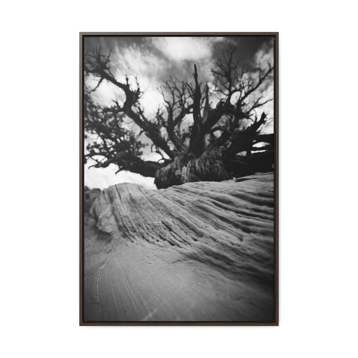 Desert Reach in Black and White - Canvas with Frame