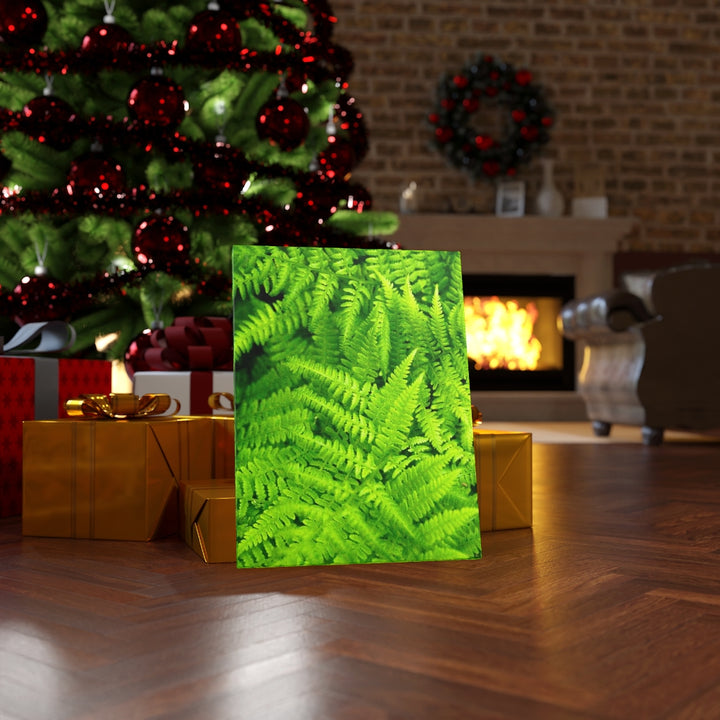 Ferns, Ferns, Ferns - Canvas