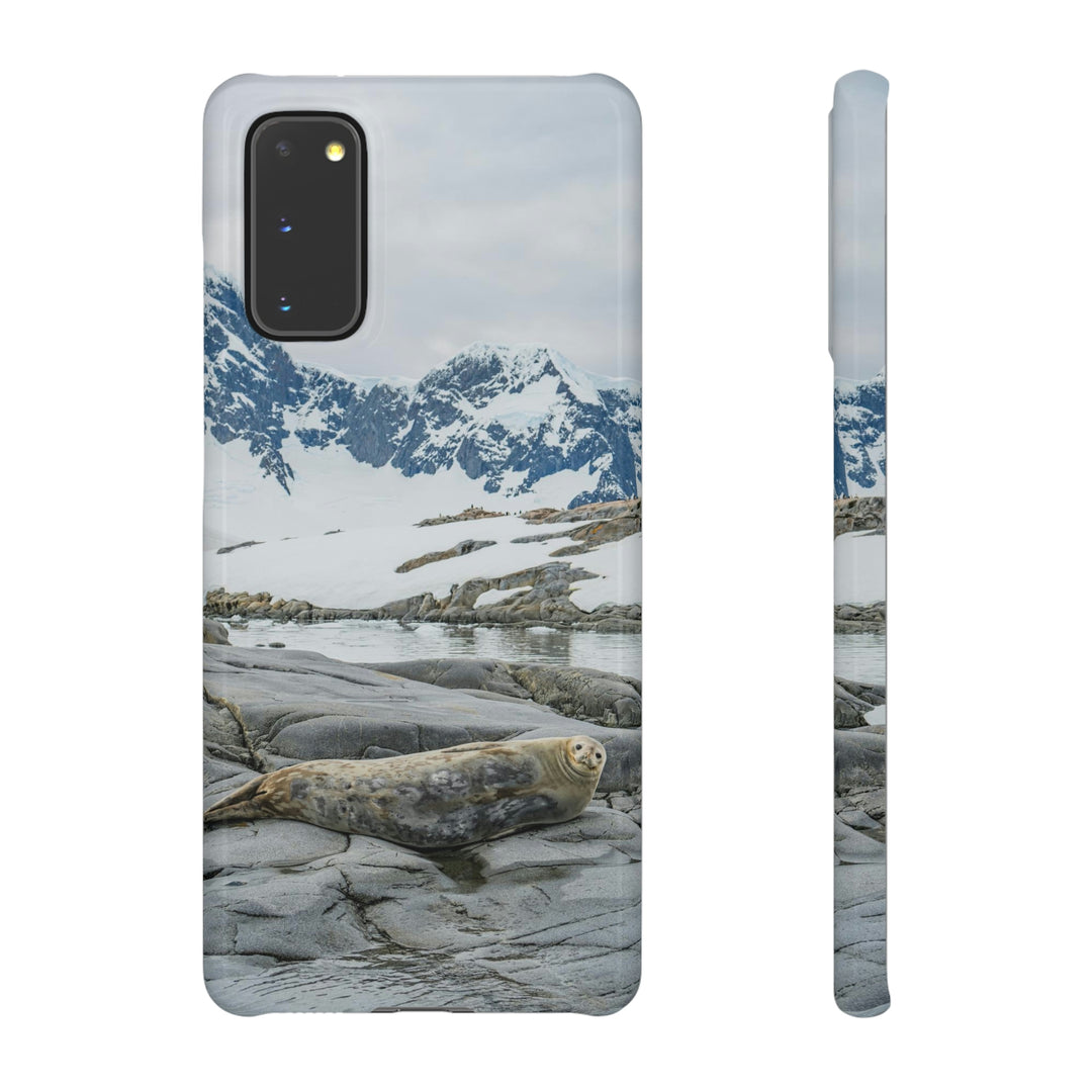 Weddell Relaxing - Phone Case