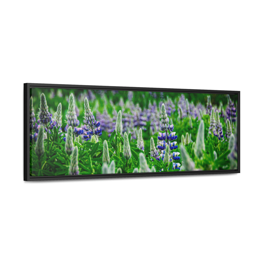 Glowing Lupin with Mountains - Canvas with Frame