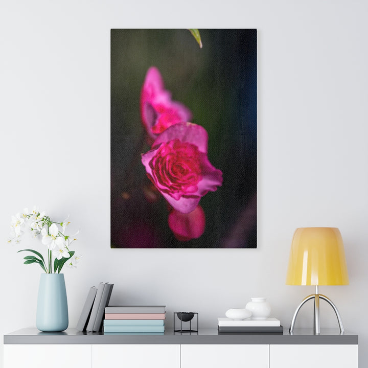 Hybrid Tea Lily - Canvas