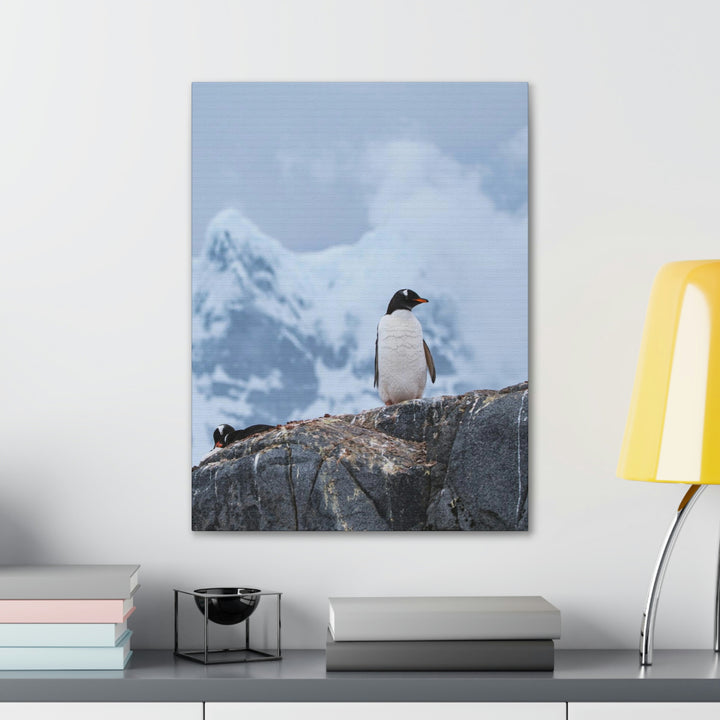 Poised Penguin - Canvas