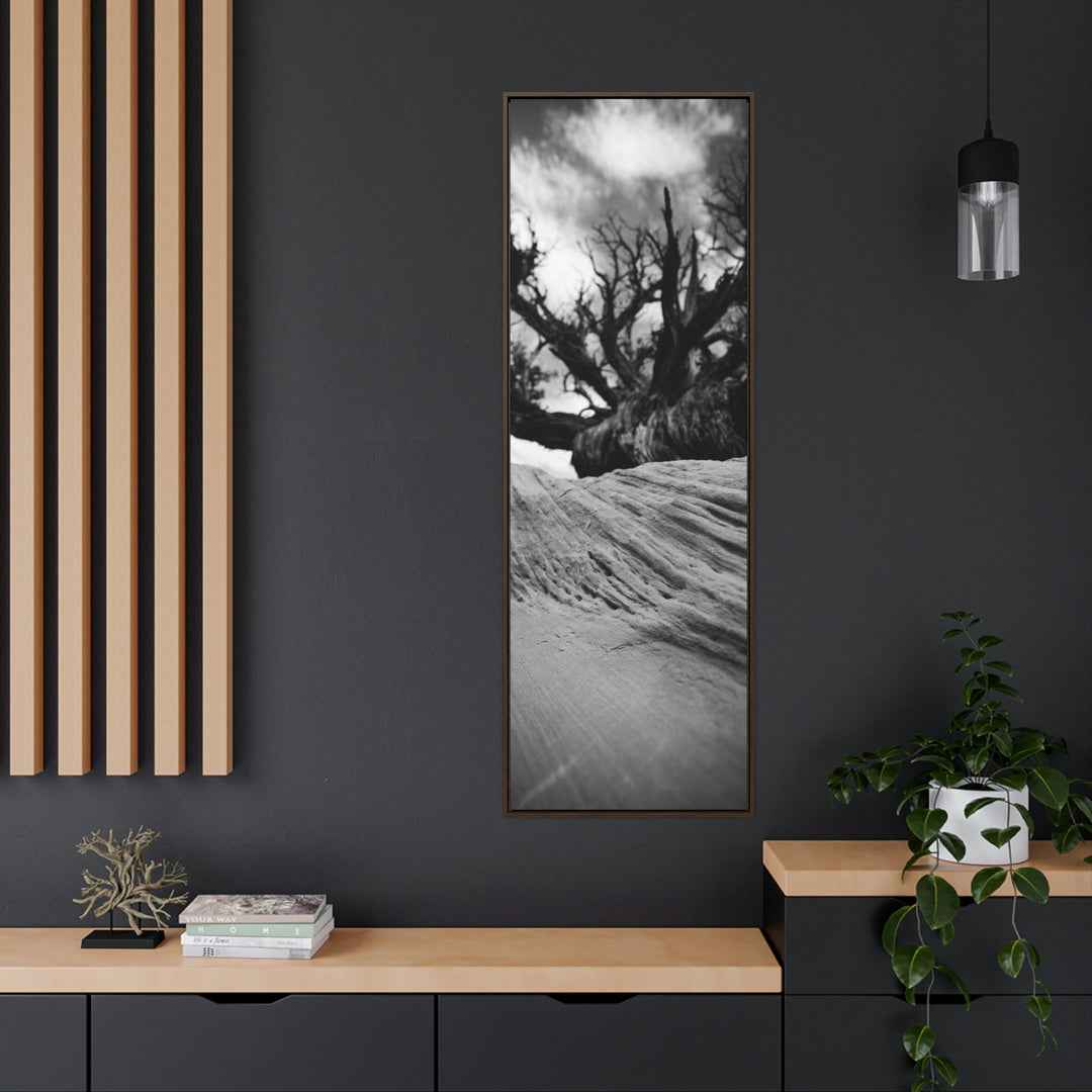 Desert Reach in Black and White - Canvas with Frame