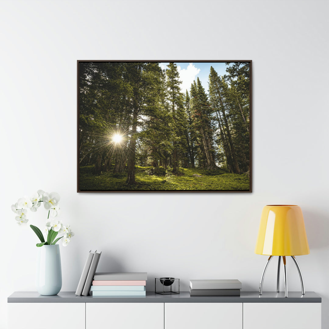 Forest Light - Canvas with Frame