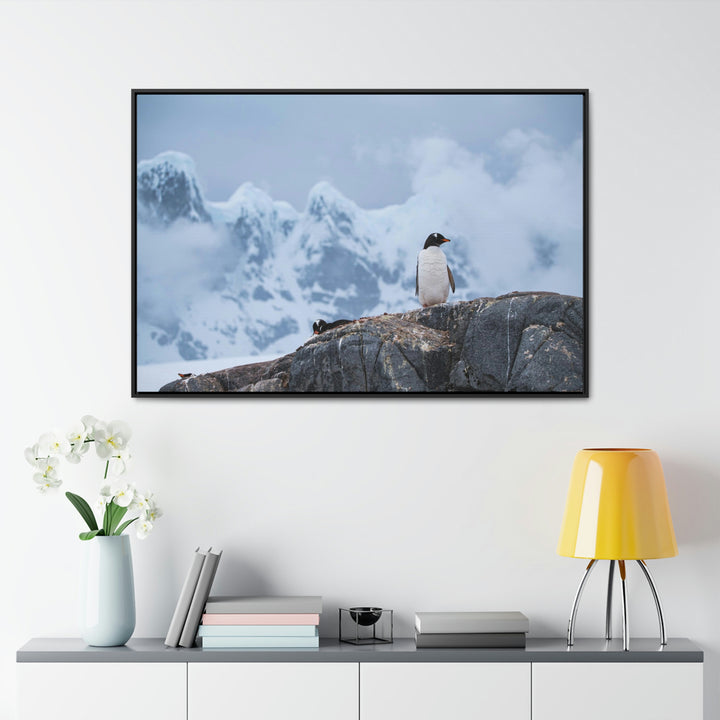 Poised Penguin - Canvas with Frame