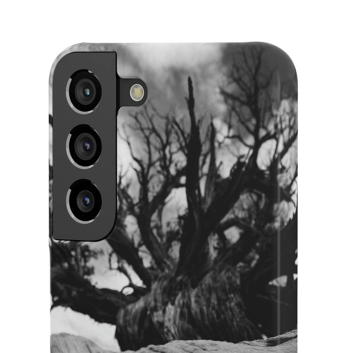 Desert Reach in Black and White - Phone Case