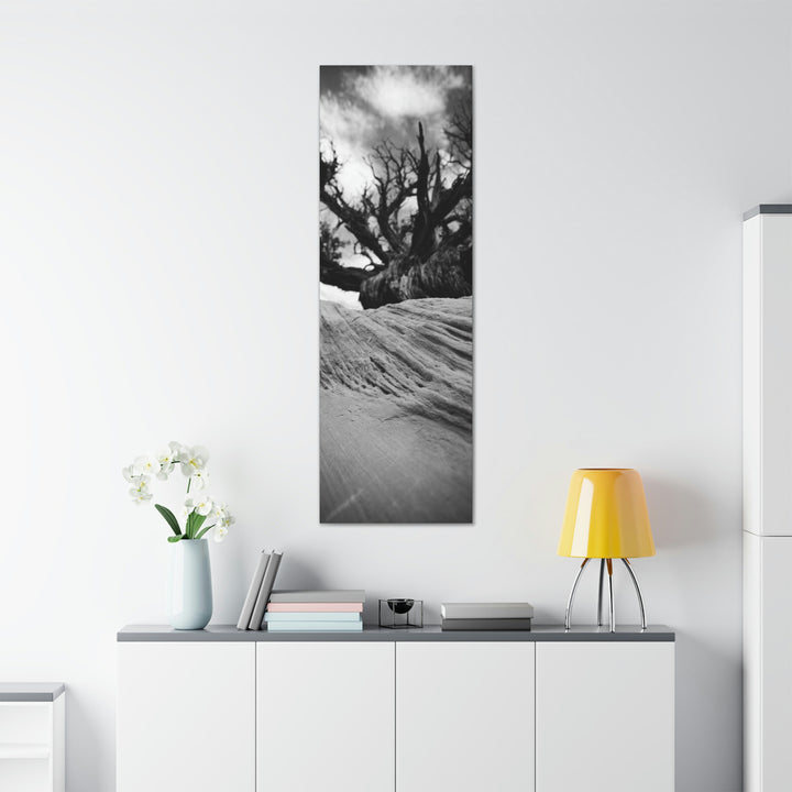 Desert Reach in Black and White - Canvas