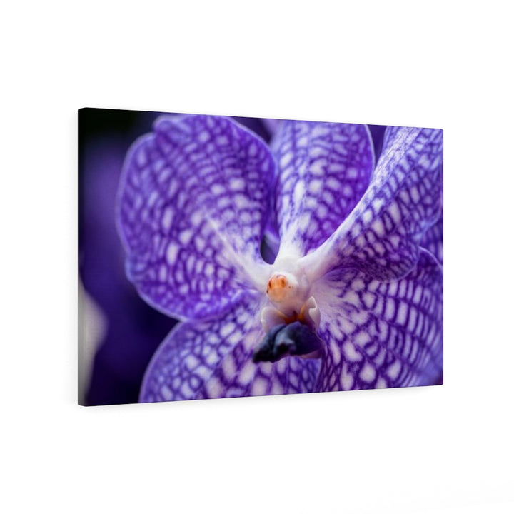 Orchid Detail - Canvas