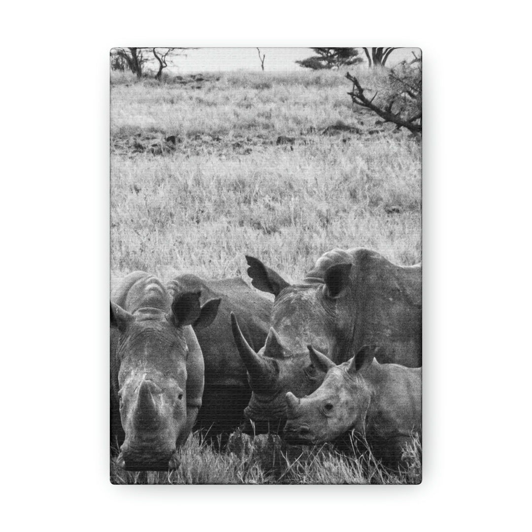 Rhino Family in Black and White - Canvas