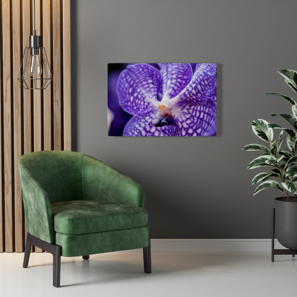 Orchid Detail - Canvas