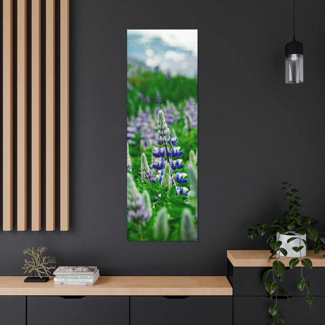 Glowing Lupin with Mountains - Canvas