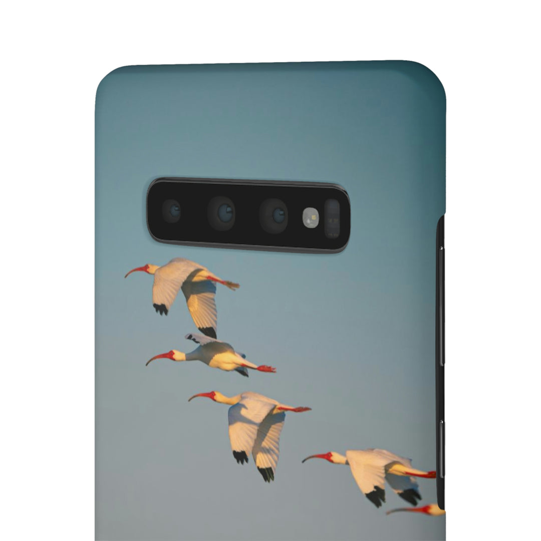 White Ibis in Flight - Phone Case