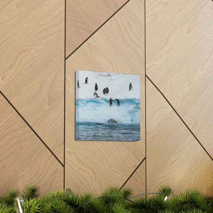 Porpoising Penguin - Canvas