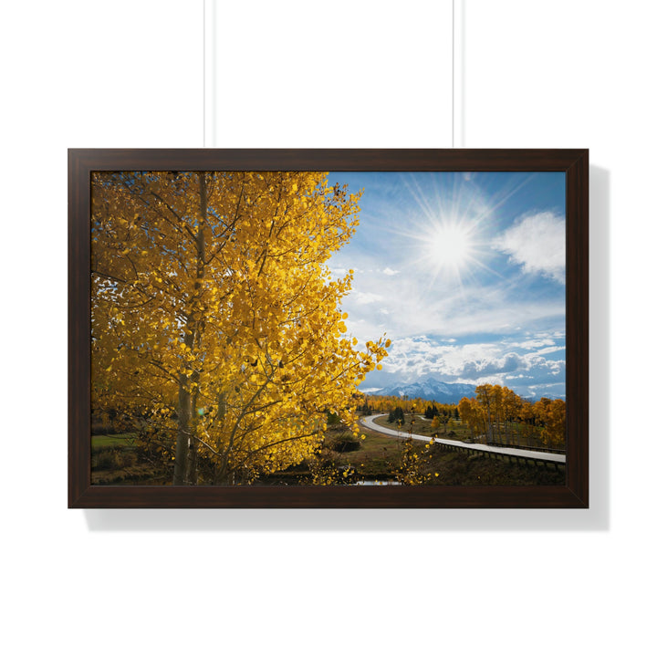 Golden Sunshine - Framed Print