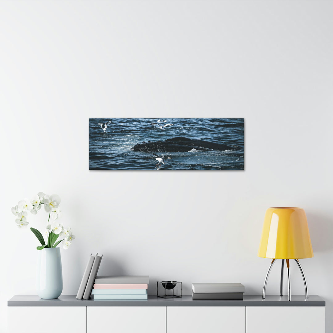 Humpback Hello - Canvas