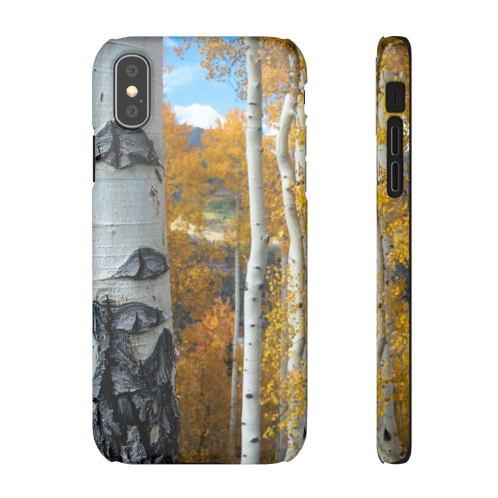 Aspens Changing - Phone Case