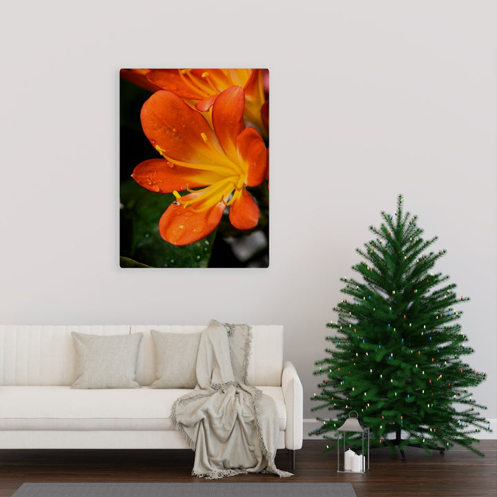 Bright Bush Lily - Canvas