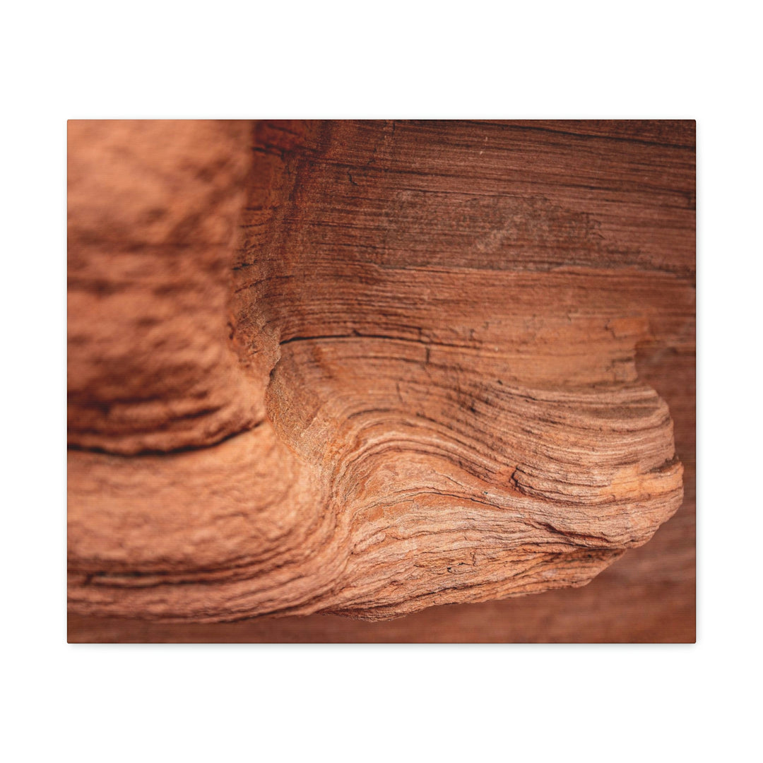 Sedimentary Rock Curves - Canvas