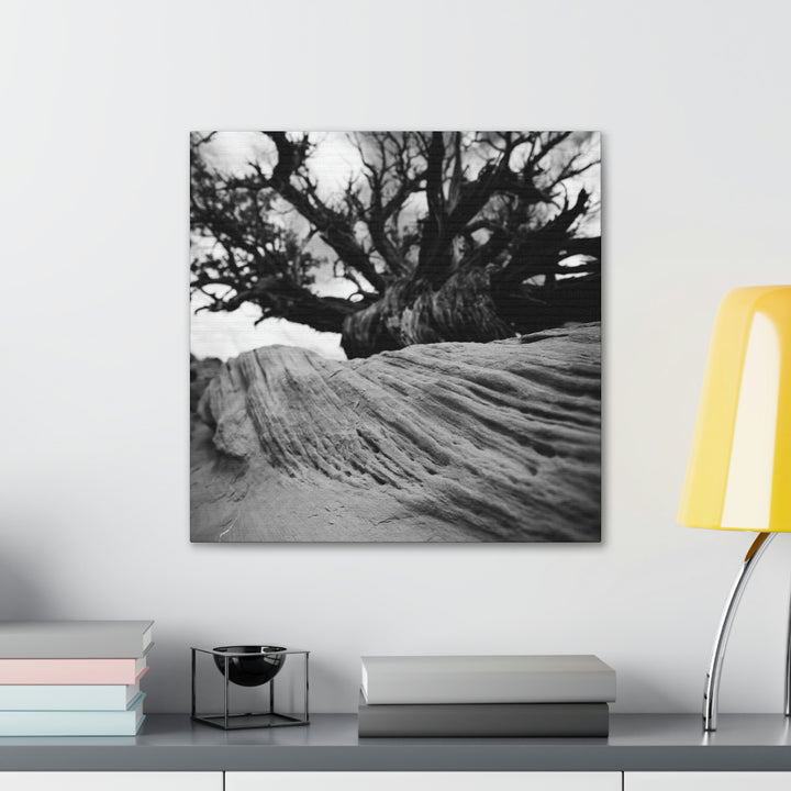 Desert Reach in Black and White - Canvas