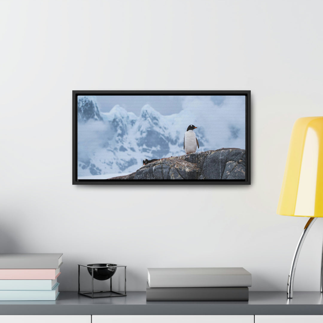 Poised Penguin - Canvas with Frame