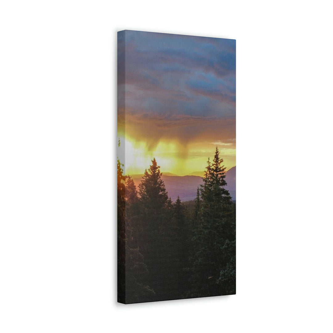 Rainy Sunset Through the Trees - Canvas