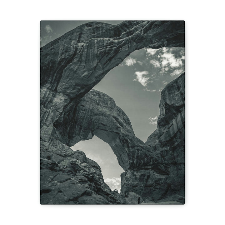 Natural Frames Part 4 in Black and White - Canvas