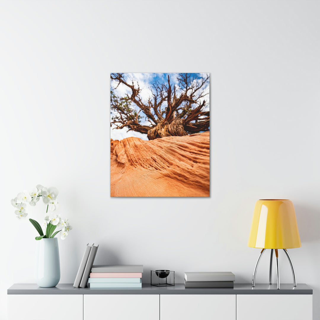 Desert Reach - Canvas