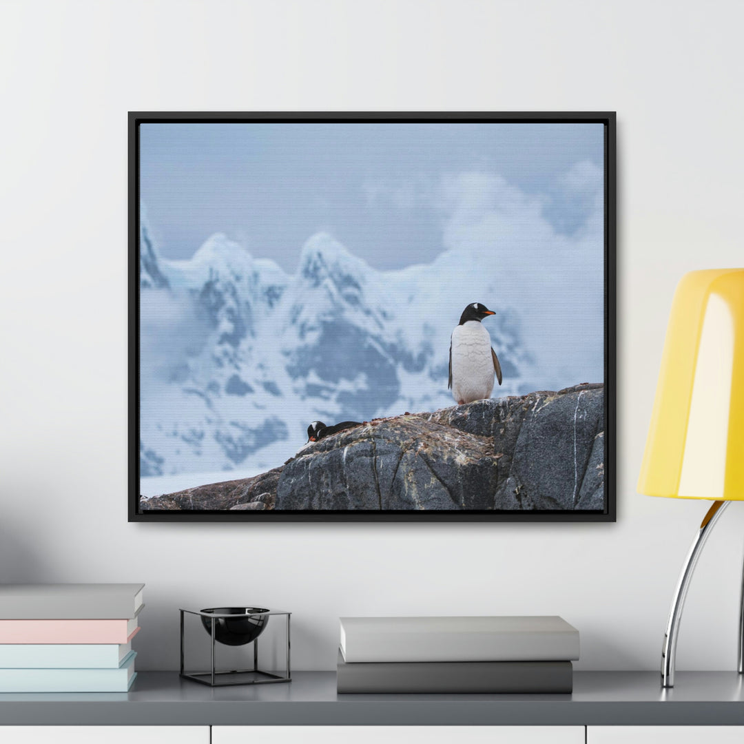 Poised Penguin - Canvas with Frame