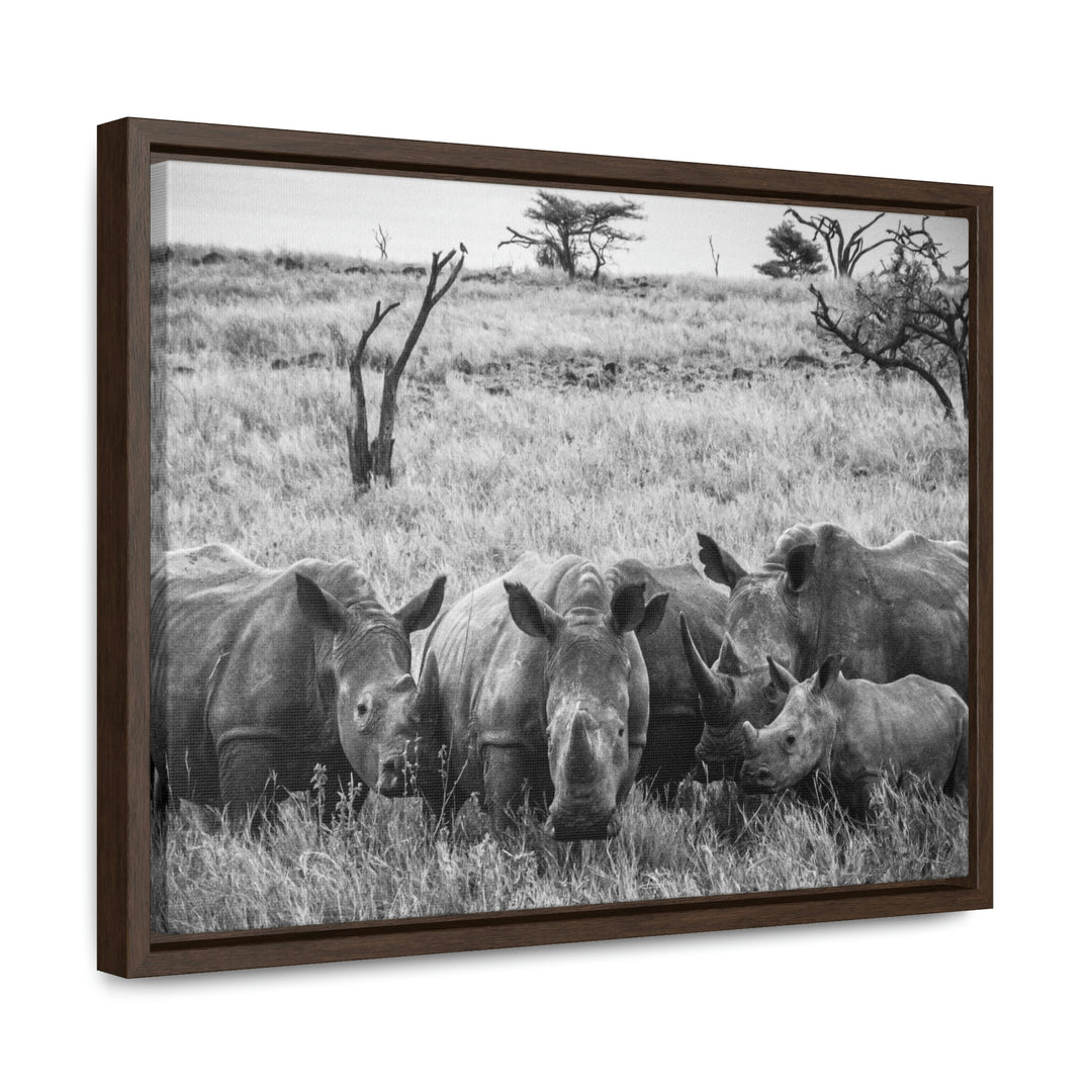 Rhino Family in Black and White - Canvas with Frame