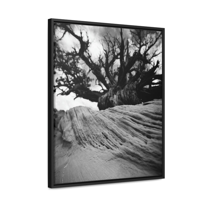 Desert Reach in Black and White - Canvas with Frame