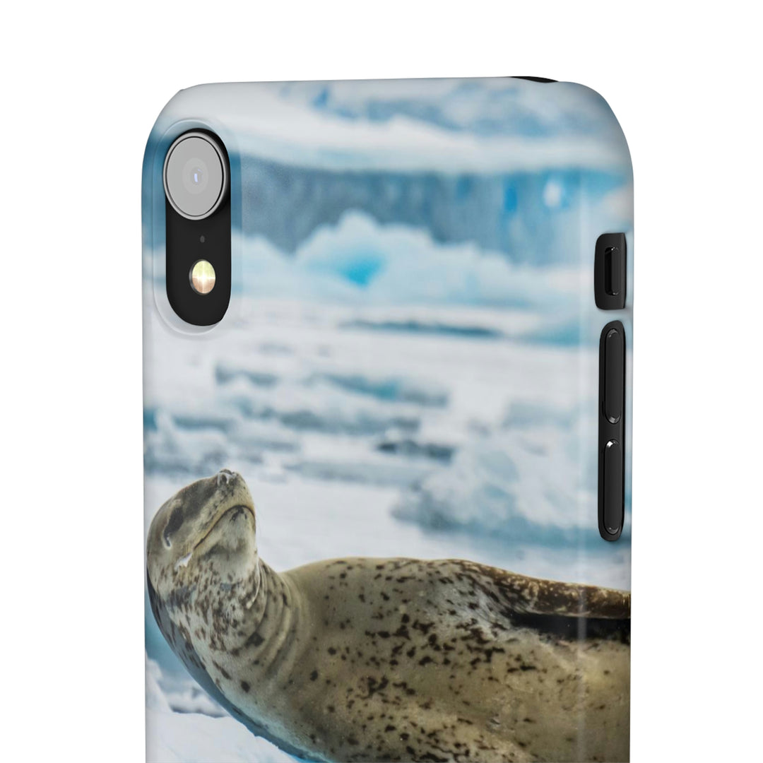 Leopard Seal Relaxing - Phone Case