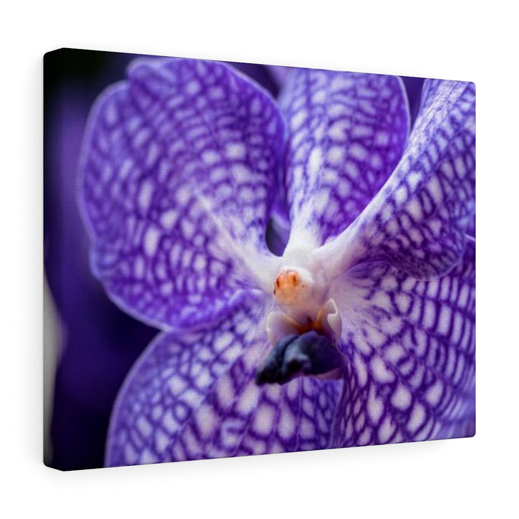 Orchid Detail - Canvas