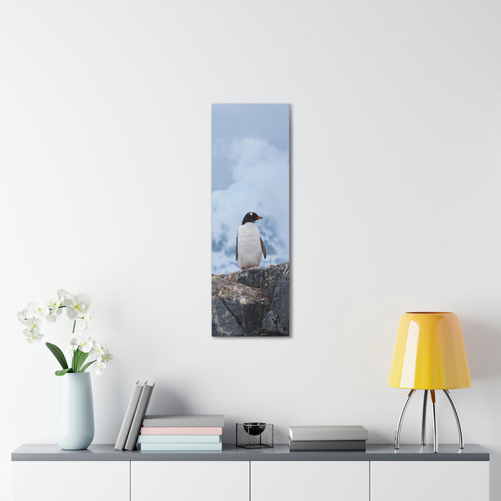 Poised Penguin - Canvas