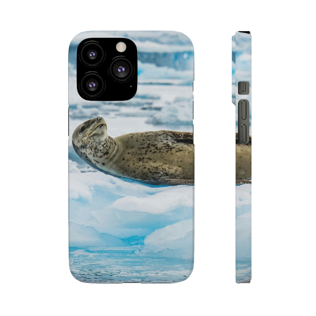 Leopard Seal Relaxing - Phone Case