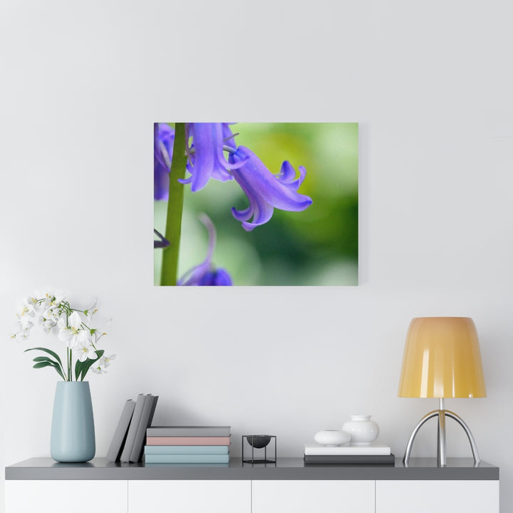 Delicate Bell - Canvas