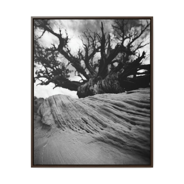 Desert Reach in Black and White - Canvas with Frame