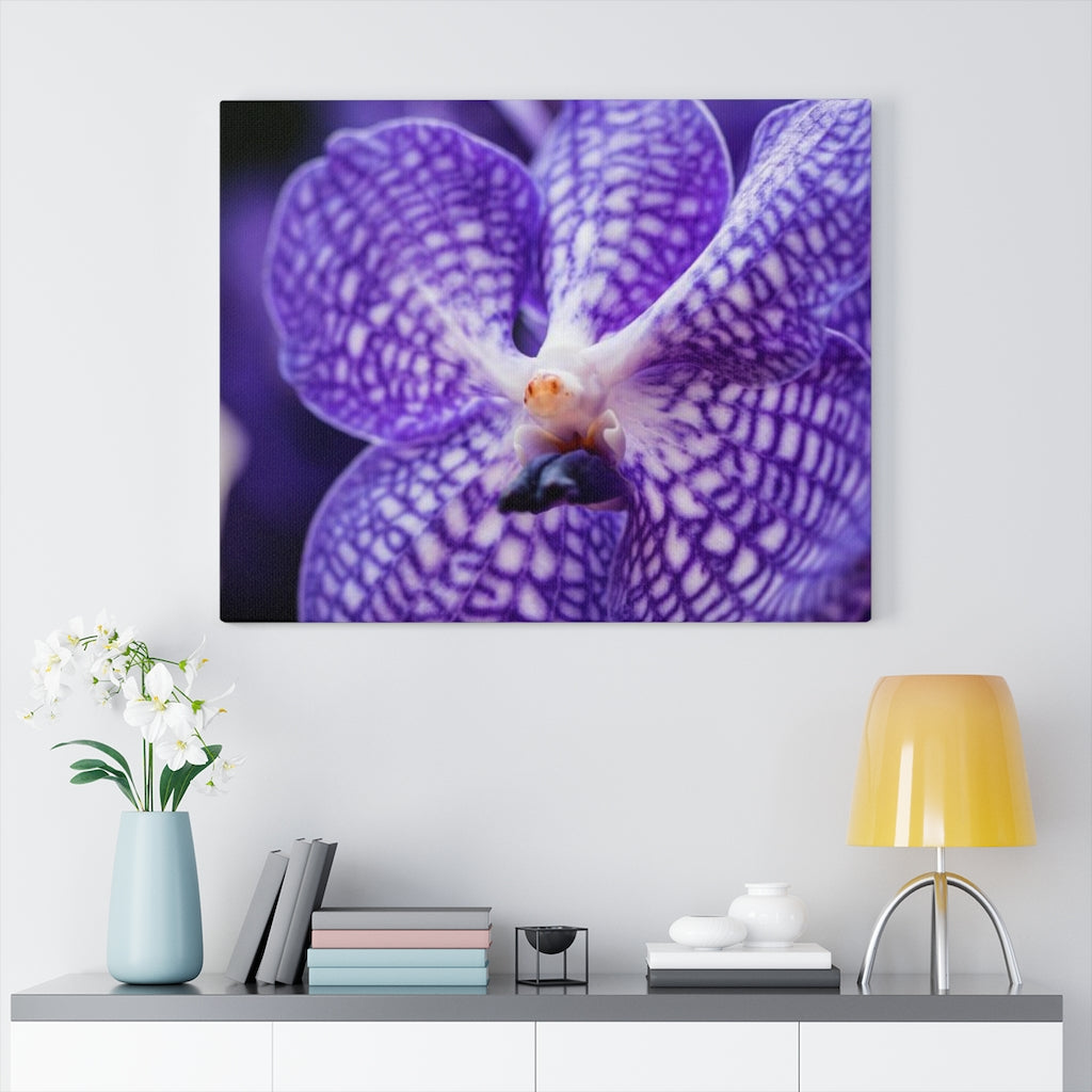 Orchid Detail - Canvas