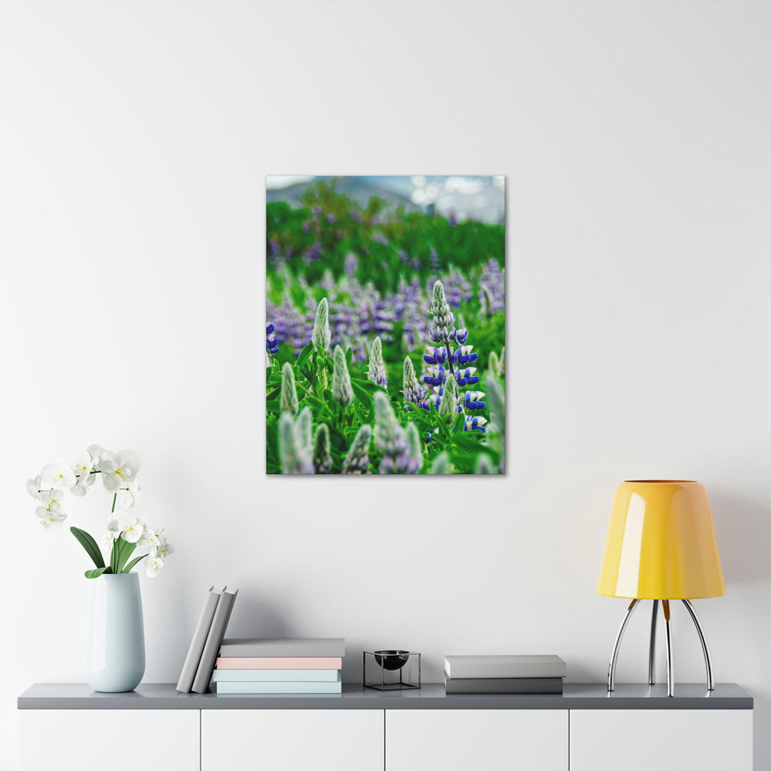 Glowing Lupin with Mountains - Canvas