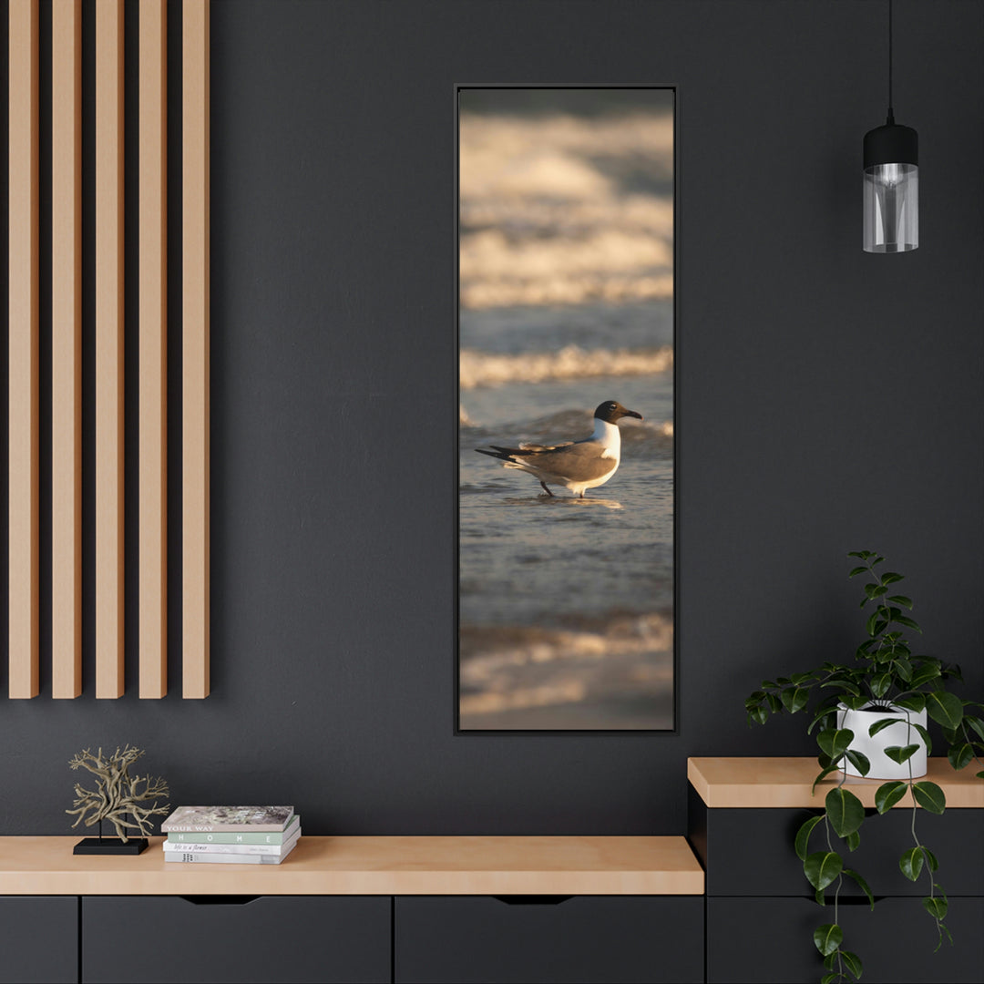 Laughing Gull in the Surf - Canvas with Frame