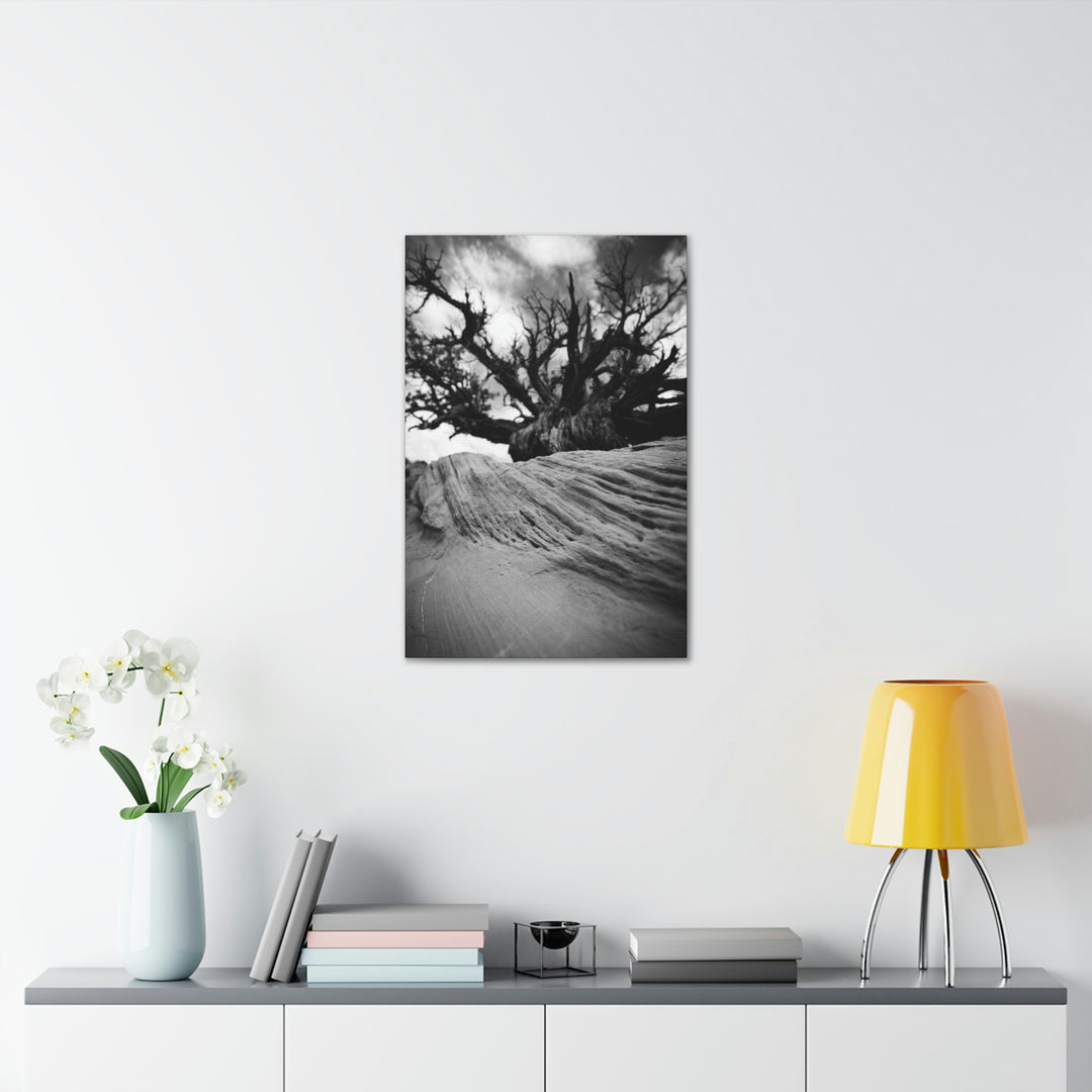 Desert Reach in Black and White - Canvas