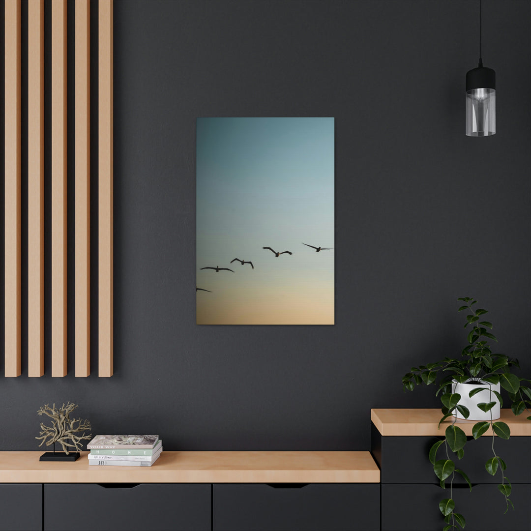 Brown Pelicans in Flight - Canvas