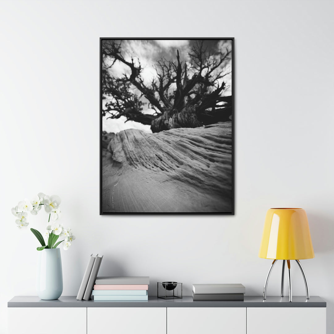 Desert Reach in Black and White - Canvas with Frame