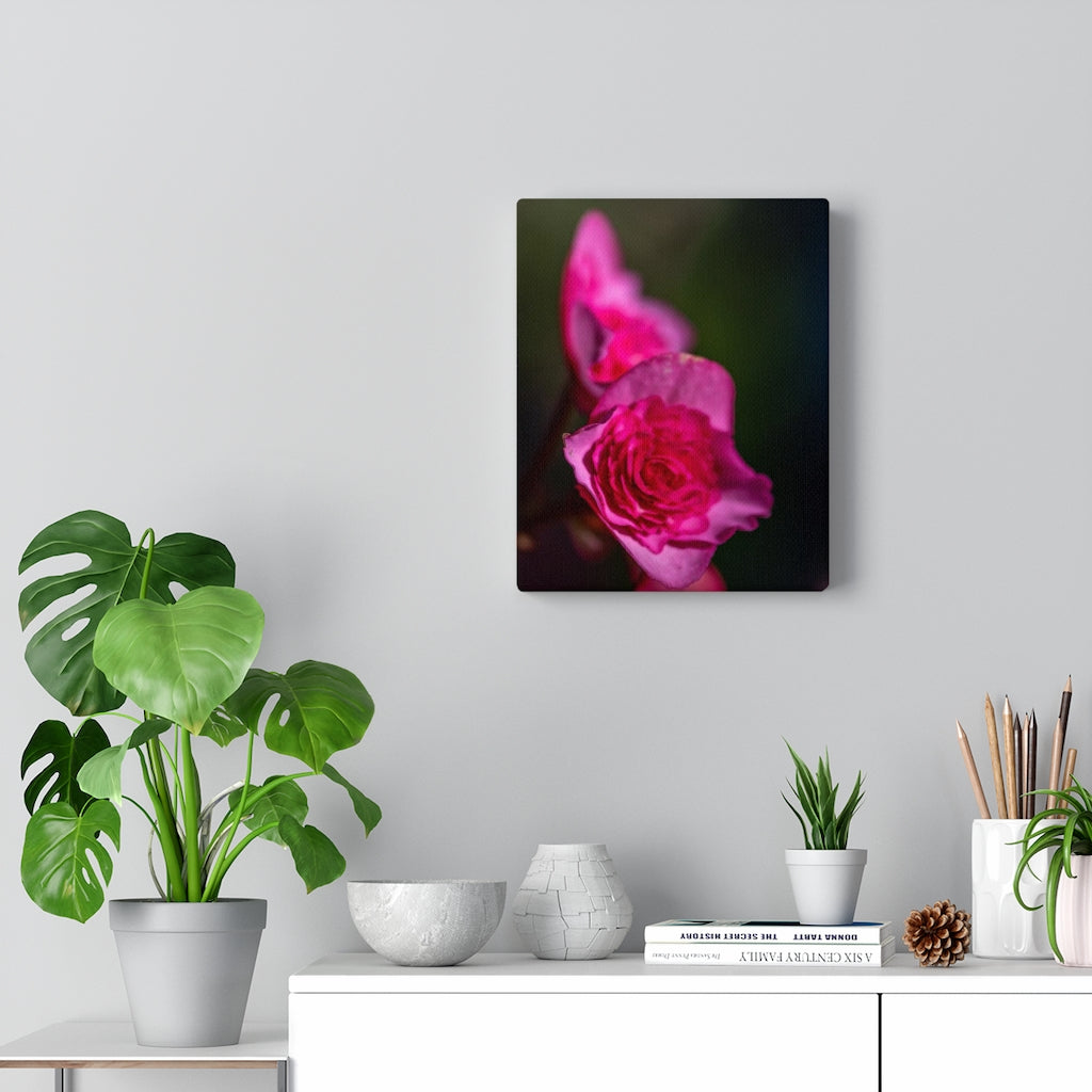 Hybrid Tea Lily - Canvas